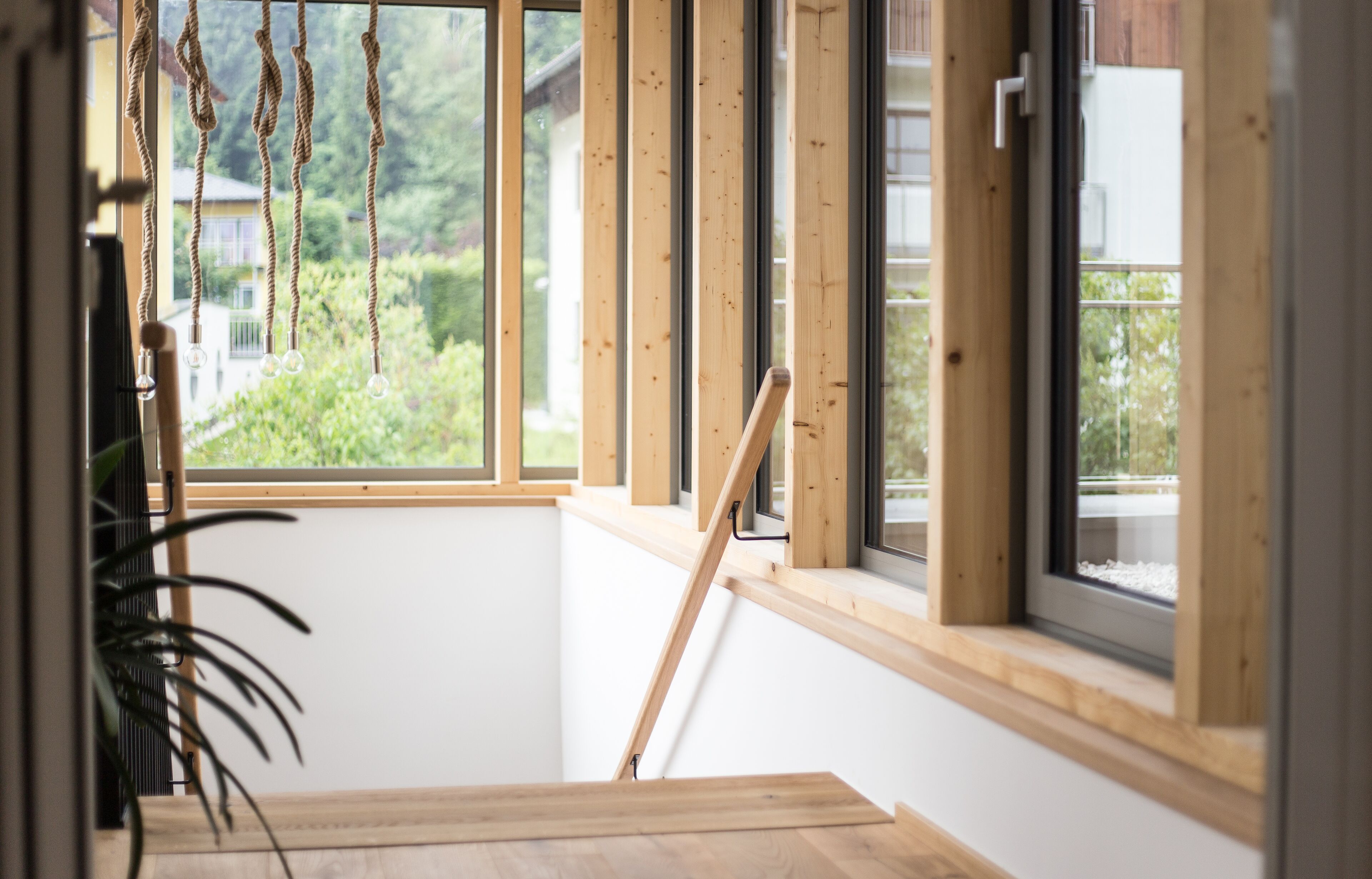 A room with a wooden floor, a window with a view of greenery, and a plant on the left.