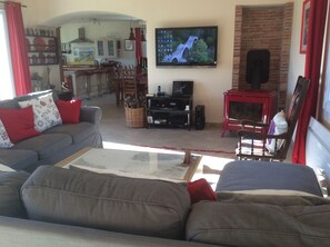 TV connectée, cheminée, lecteur de DVD, livres