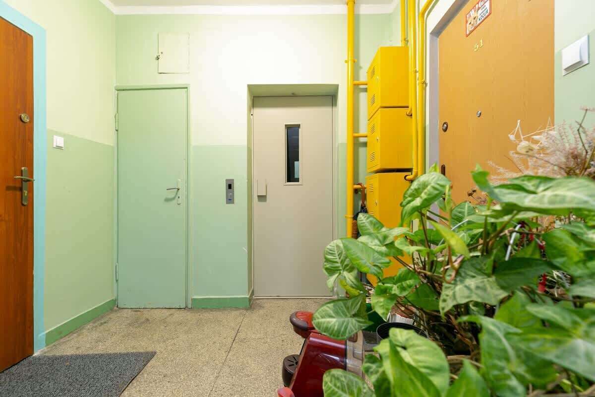 Un couloir avec une porte verte, un meuble de rangement jaune et une plante en pot.