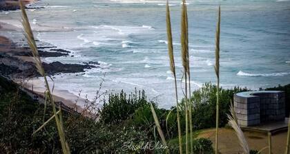 Biarritz charming two-room apartment with garden and parking!