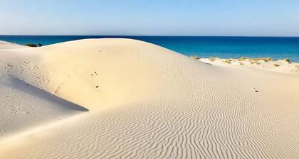 Lovely apartment among the lagoons of Porto Pino in a natural oasis.