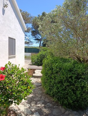 A pathway leading to a building with a white exterior, surrounded by lush greenery and a clear blue sky.