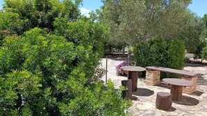 Una terrazza in pietra con posti a sedere all'aperto, immersa nel verde e circondata da alberi.