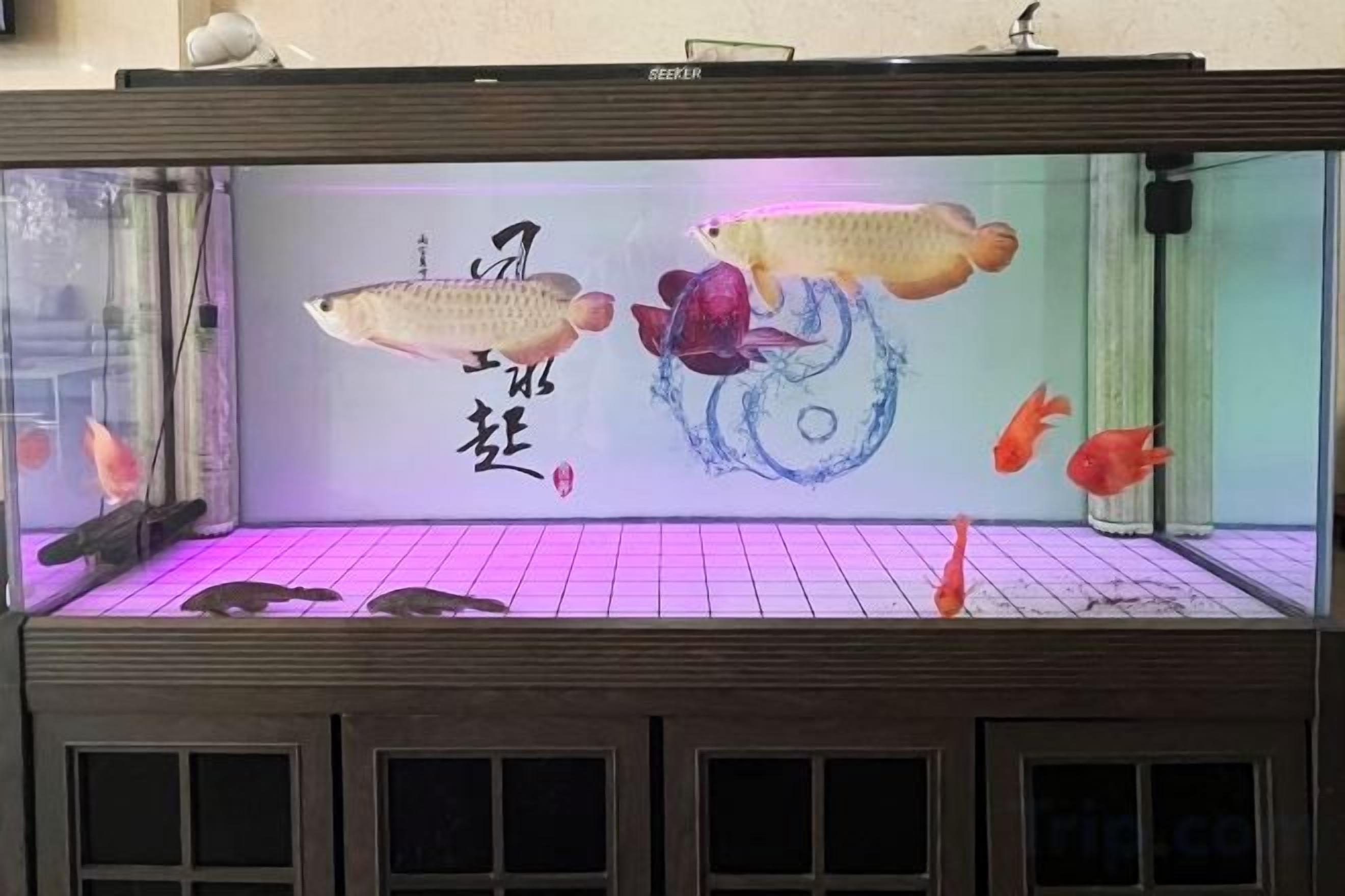 A fish tank with various fish and decorative elements.