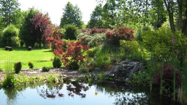 A serene pond surrounded by lush greenery and trees. - Haus Fischernetz (Leezdorf)