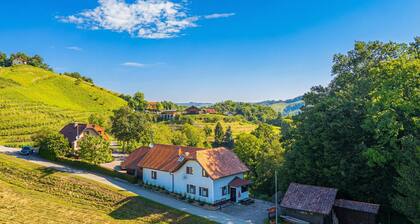 Family Friendly House Marija