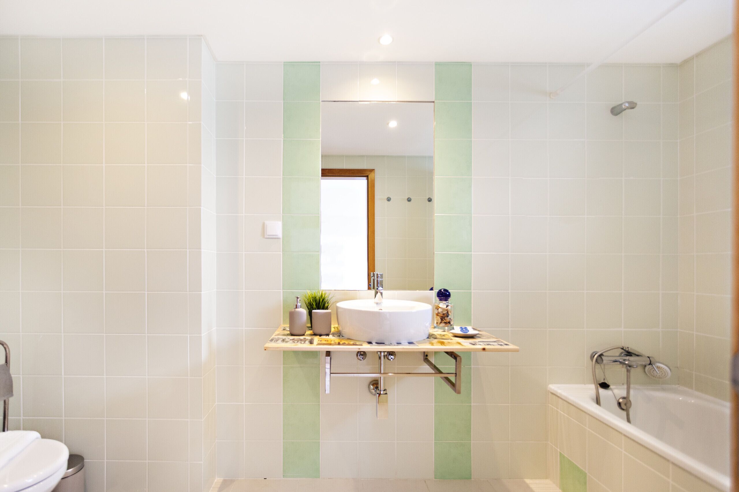 Bathtub, hair dryer