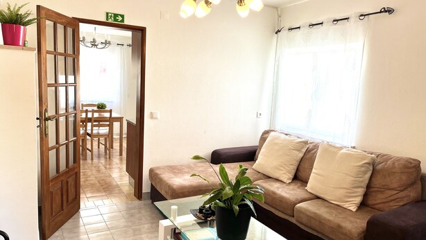 Ein Wohnzimmer mit einer Couch, einem Couchtisch mit einer Pflanze, einem Essbereich mit Stühlen und einem Flur, der zu einem Ausgang führt.