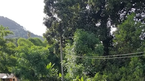 Una piscina con borde azul, rodeada por un muro de piedra y césped. Hay sillas de neumático y una planta en maceta cerca de la piscina.