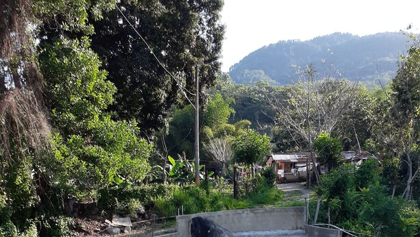 Una piscina con borde de hormigón, rodeada de césped y un marco de piedra.