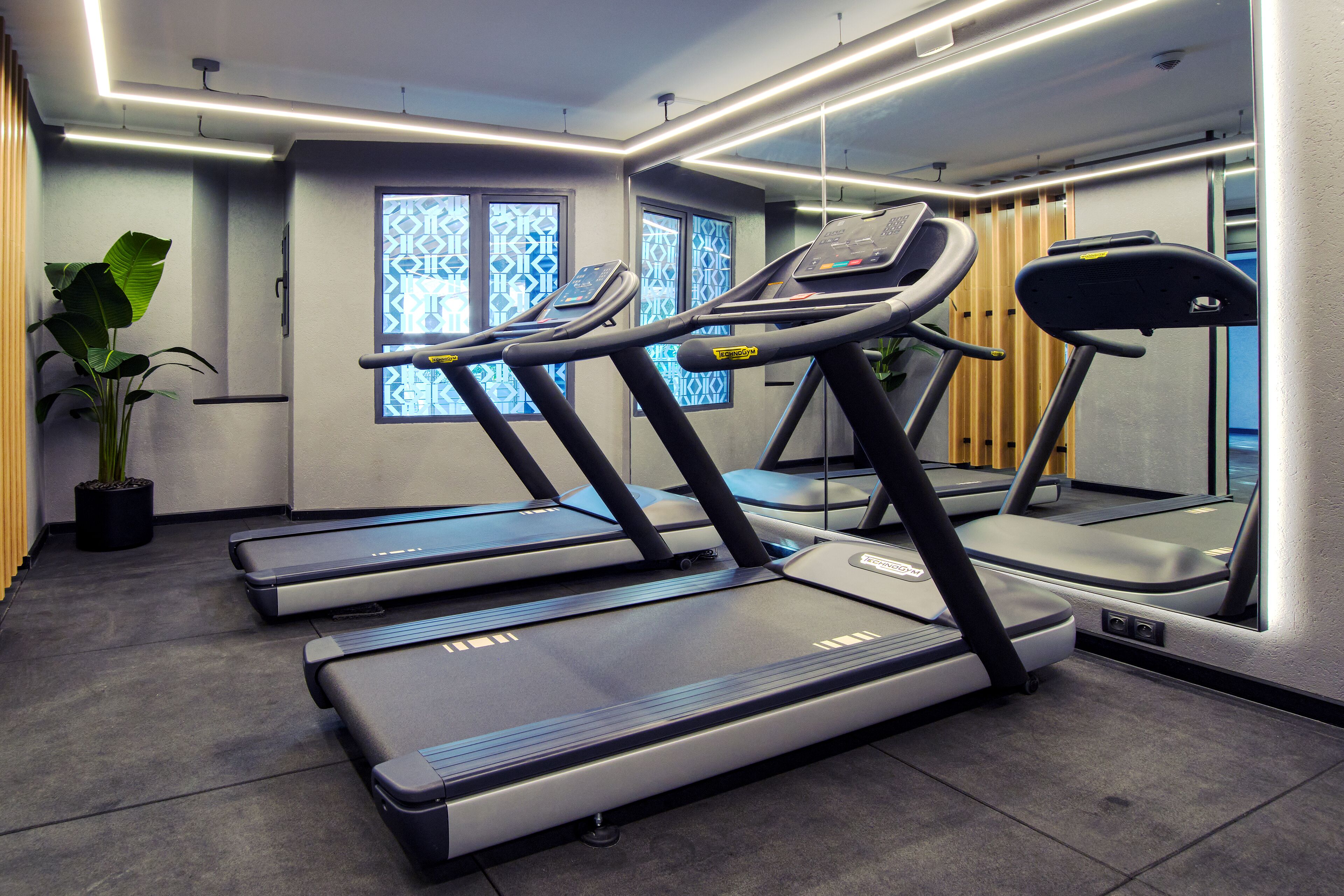 Een fitnessruimte met loopbanden, een potplant en raampartijen met een patroon.