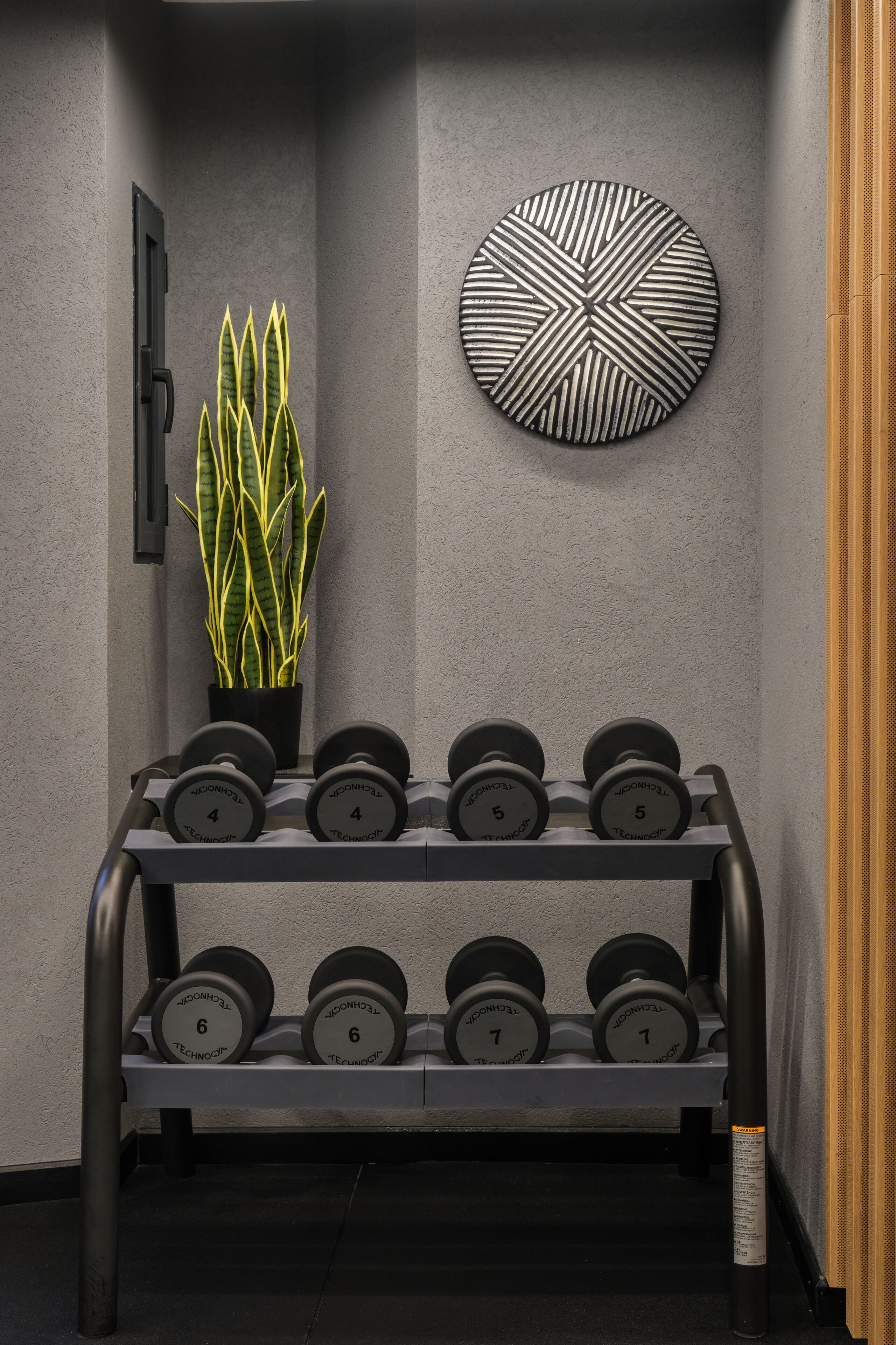 Un gimnasio con un estante para mancuernas fijado a la pared, una planta en maceta y un adorno mural.