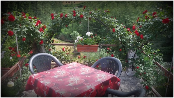 A table with a floral tablecloth, two chairs, and a garden with red roses. - AL CIOS VACATION HOME FOR A RELAXING VACATION IN THE GREEN OF NATURE (AZZIO VARESE)