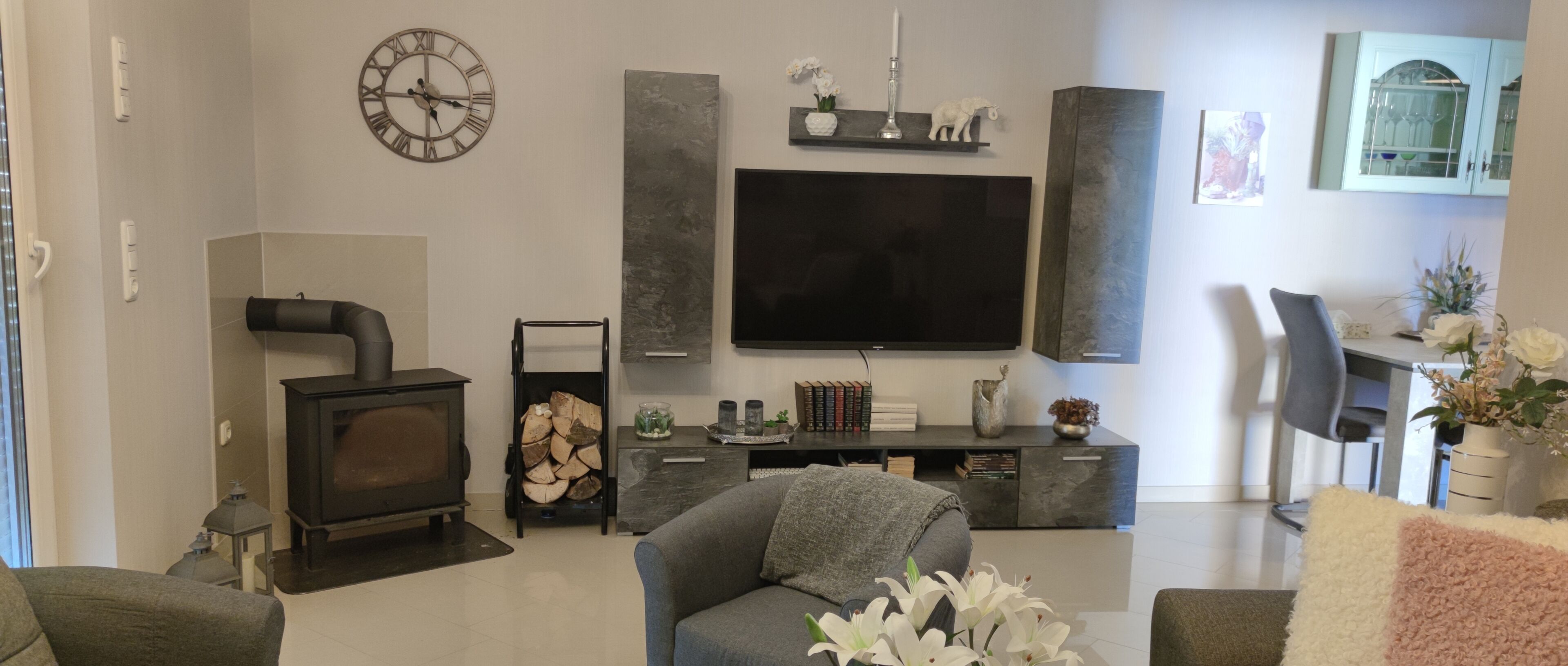 TV connectée, cheminée, livres, vidéothèque