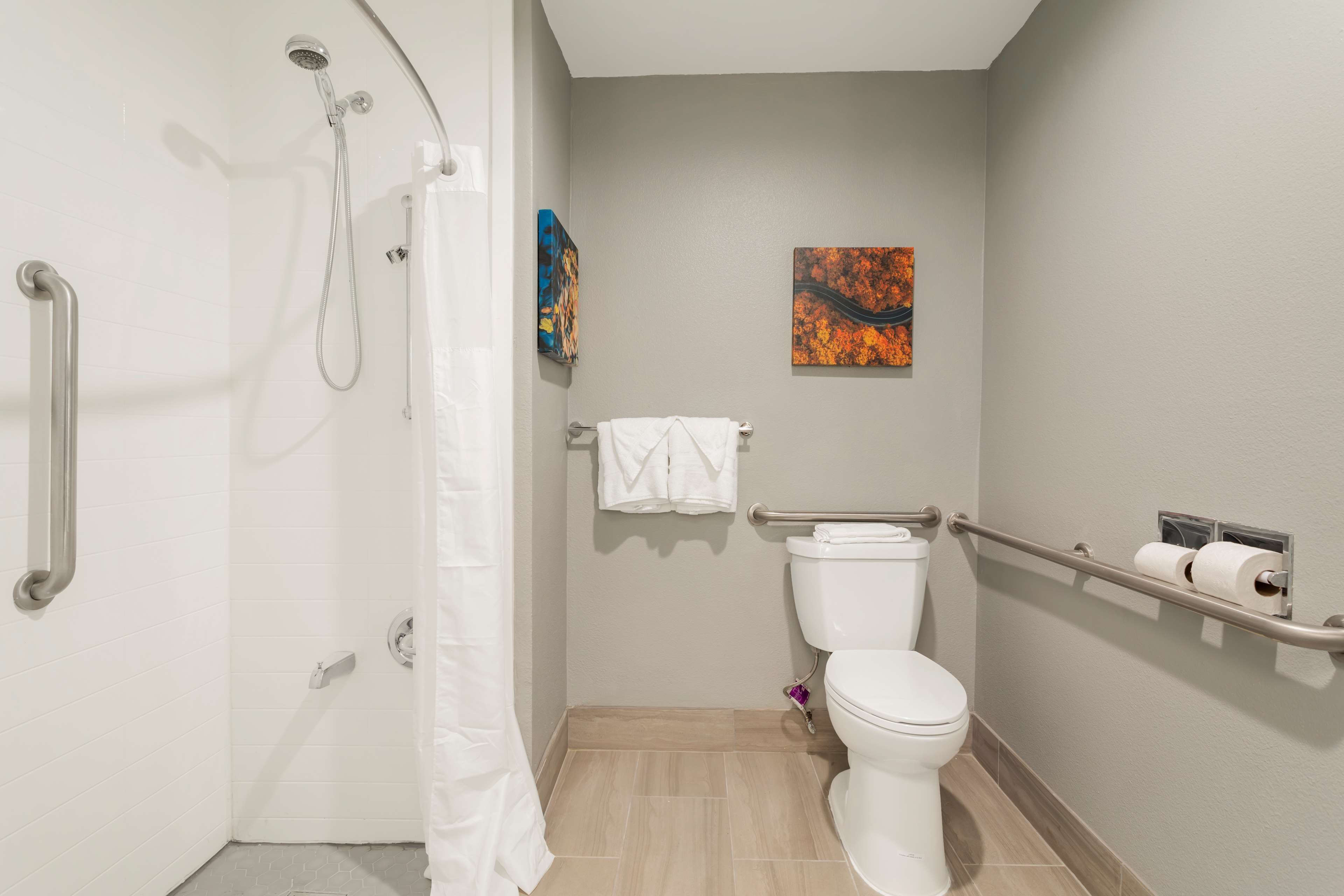 standard room, 1 king bed, accessible, refrigerator & microwave | bathroom | combined shower/bathtub, hair dryer, towels