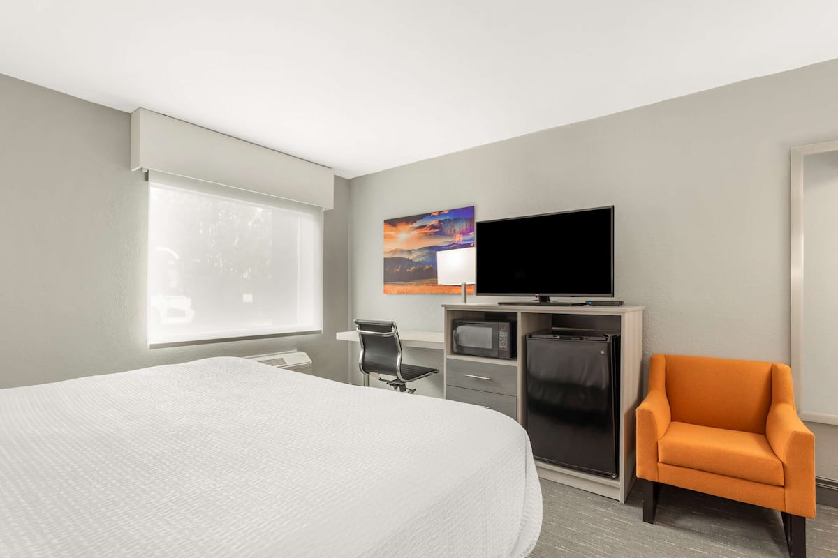 Camera Standard, 1 letto king, accessibile ai disabili, frigorifero e microonde | Biancheria da letto ipoallergenica, copriletto in piuma, una scrivania