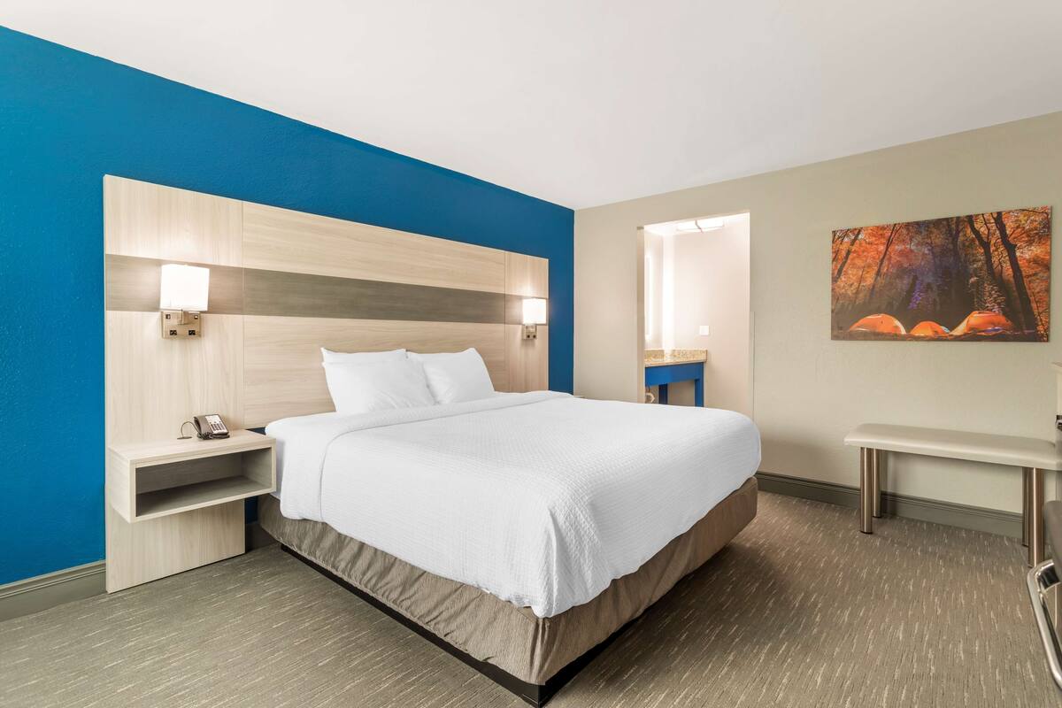 A hotel room with a bed, bedside table, and a nightstand with a phone.