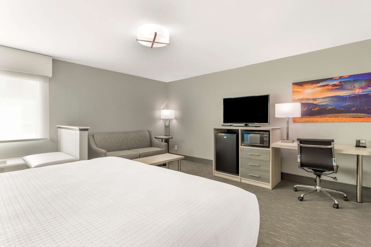 A hotel room with a large bed, a desk with a computer, a television, a couch, and a painting on the wall.