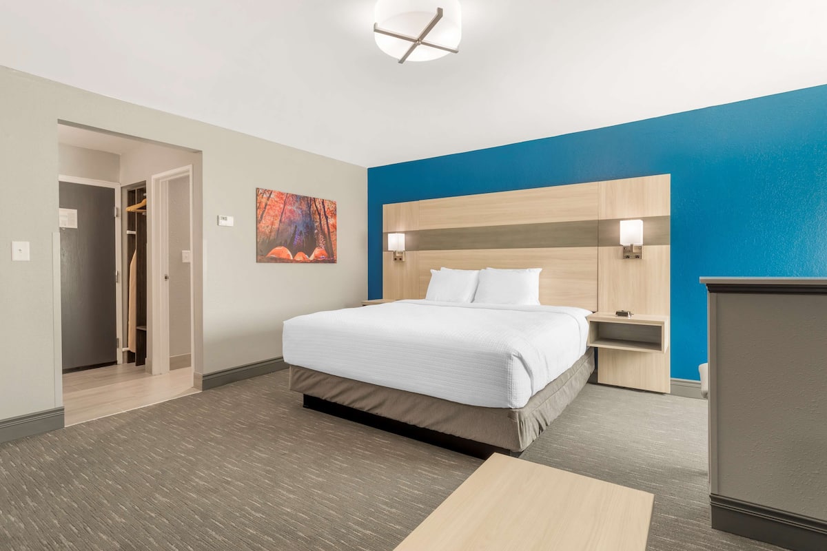 Suite, 1 letto king, non fumatori, frigorifero e microonde (with Sofabed) | Biancheria da letto ipoallergenica, copriletto in piuma, una scrivania