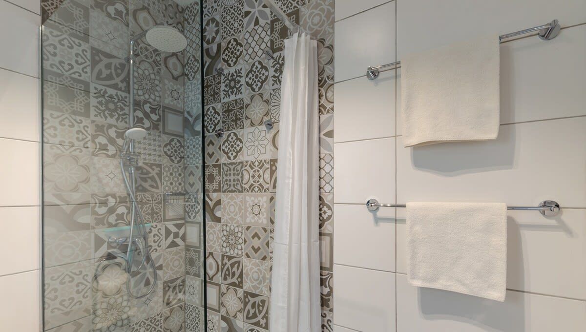 Shower, hair dryer, towels, shampoo