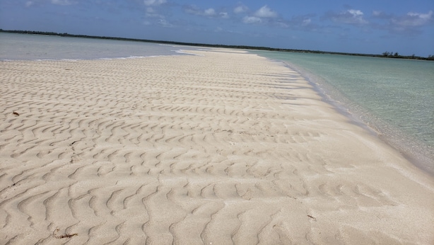 Una playa arenosa con agua turquesa cristalina y una costa lejana.
