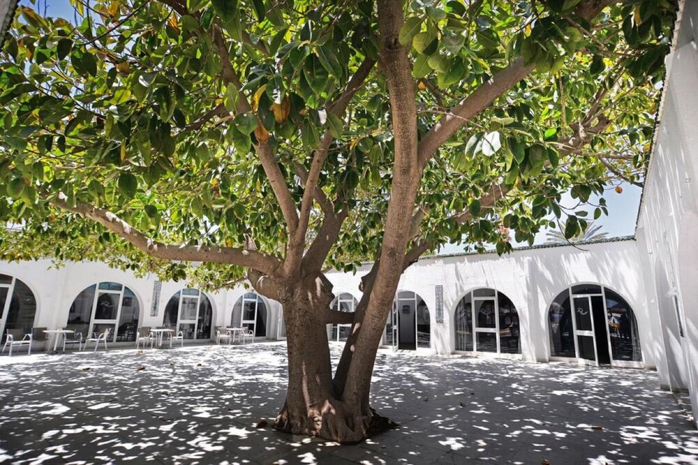 Interior View of Palmyra Club Nabeul