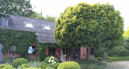 You will find a peaceful idyll and relaxation here in the Apartment-Feldsteingarten.