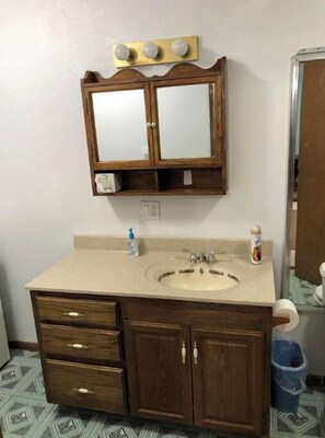 Combined shower/bathtub, towels, soap, shampoo