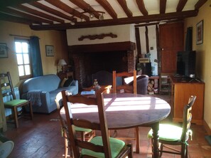 Télévision, cheminée, lecteur de DVD, livres