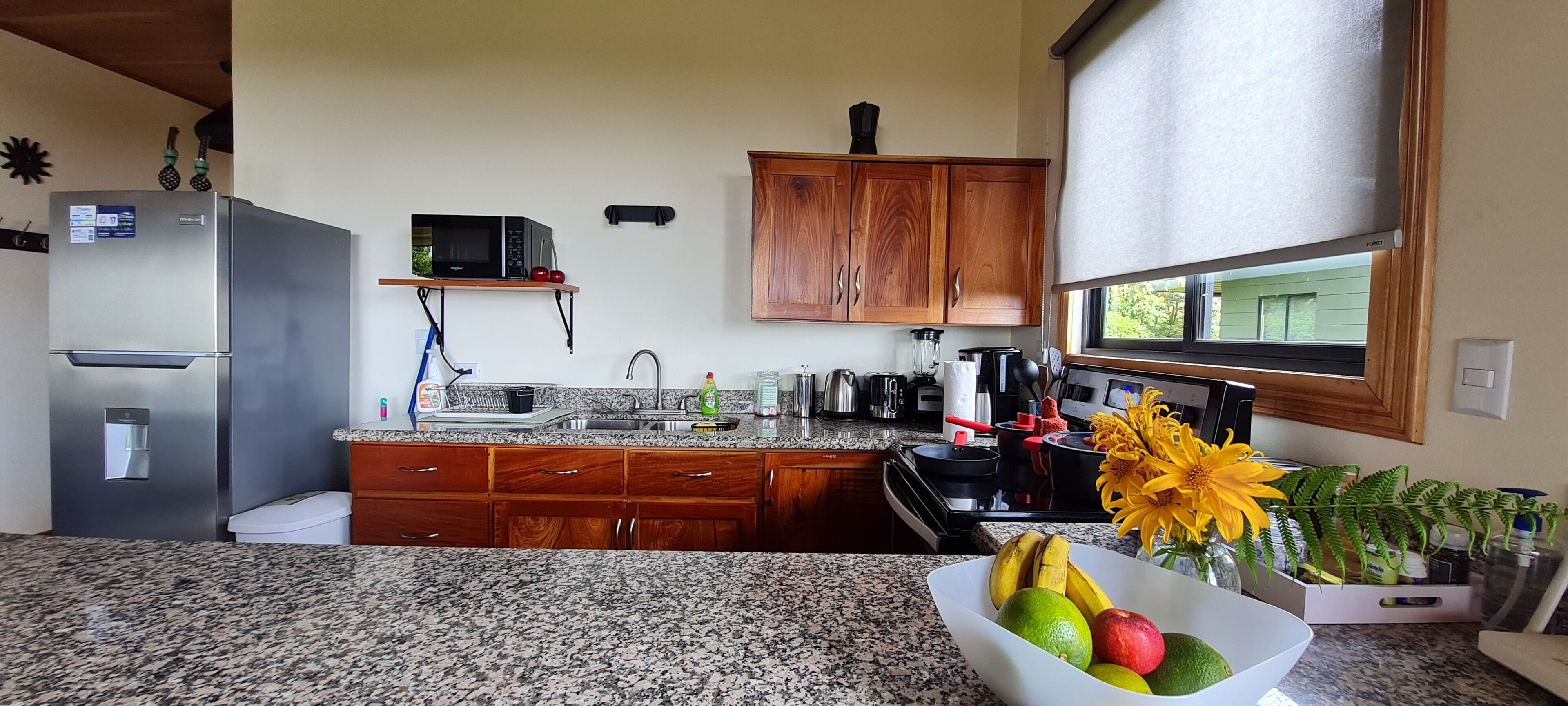 Een keuken met granieten aanrechtbladen, houten keukenkastjes, een roestvrijstalen koelkast, een magnetron en een spoelbak. Er is een raam met uitzicht op groen.