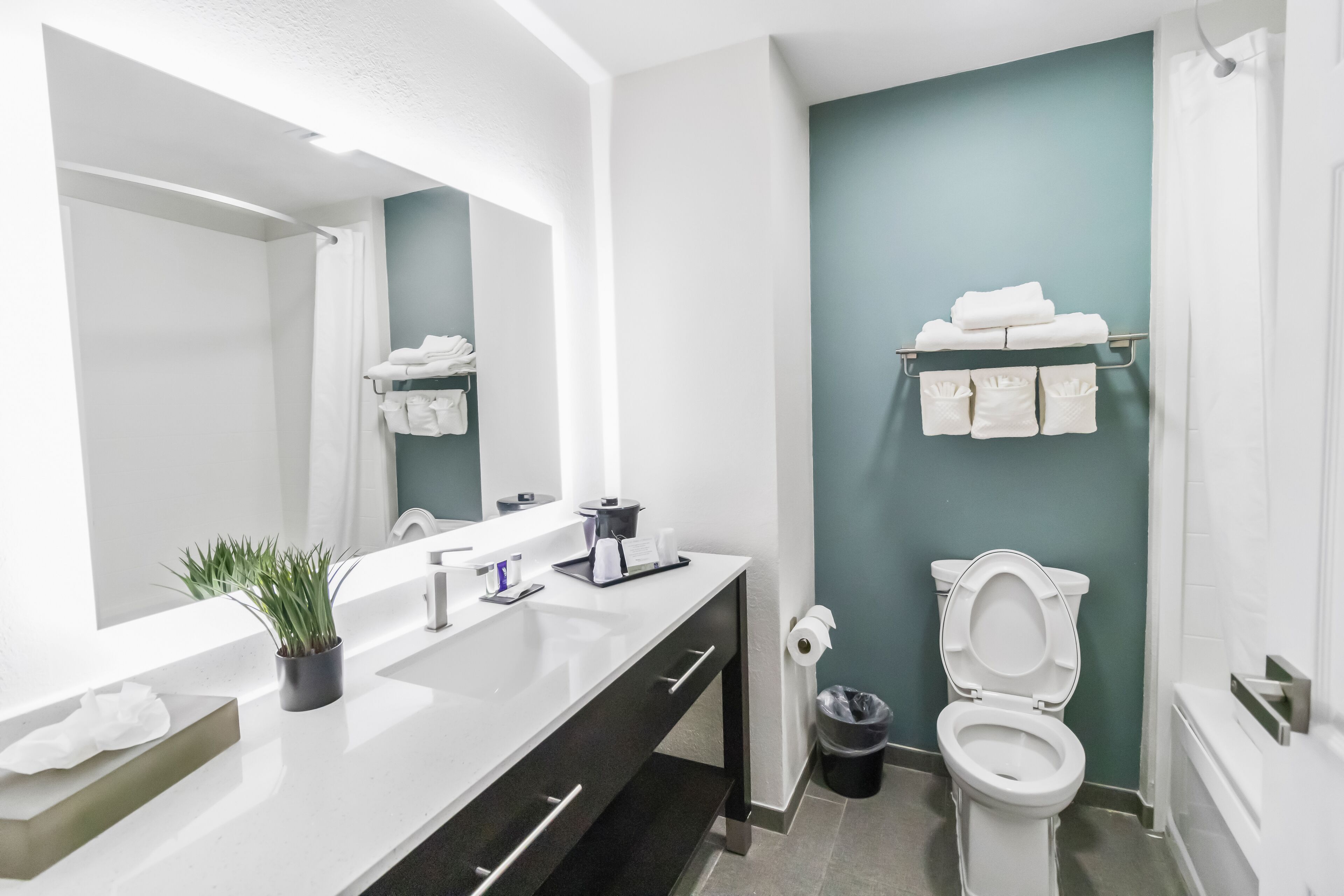 Combined shower/bathtub, free toiletries, towels