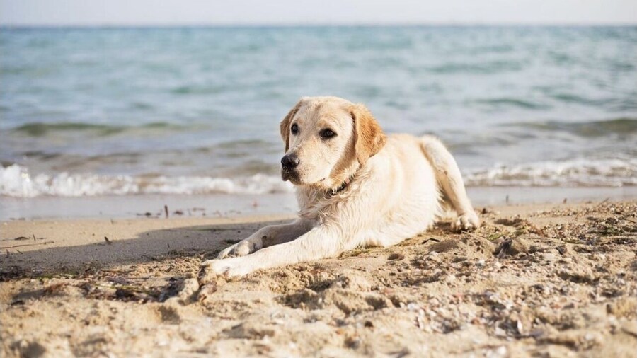 Suburban Studios Brunswick of I-95