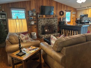 Smart TV, fireplace, books