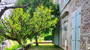 A stone building with a tree in the yard. - Large vacation home in the Lot in the heart of the Quercy regional park (Saint-Sulpice)