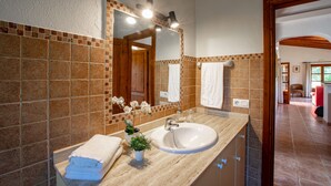 A bathroom with a large mirror, a sink, and a potted plant.