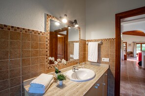 A bathroom with a large mirror, a sink, and a potted plant.