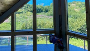 A room with a wooden ceiling, a chandelier, and large windows offering a view of a forest and the ocean.