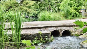 A concrete bridge over a stream with two tunnels, surrounded by lush greenery and trees. - 10 Son's Geronimo - Birdhouse Cabin (Seguin)