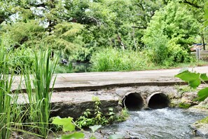 Property grounds - 10 Son's Geronimo - Birdhouse Cabin (Seguin)