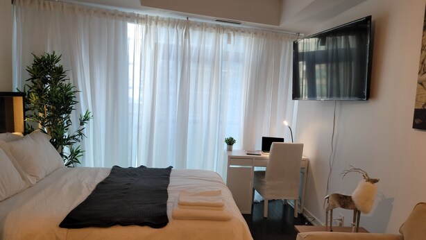 Quarto de hotel com cama, escrivaninha, cadeira, televisão e planta.