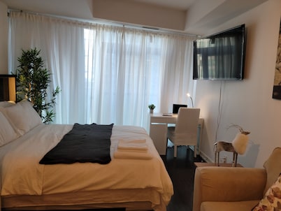 Luxury Condo in Financial District across CN Tower