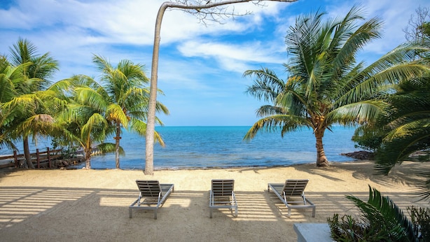 A beach view with palm trees, a sandy beach, and three lounge chairs. - Sunset Gecko Condos - Unit 1A (Placencia)