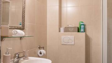 Une salle de bain avec un lavabo, des toilettes et un miroir. Il y a une serviette sur le lavabo et une boîte de mouchoirs accrochée au mur.