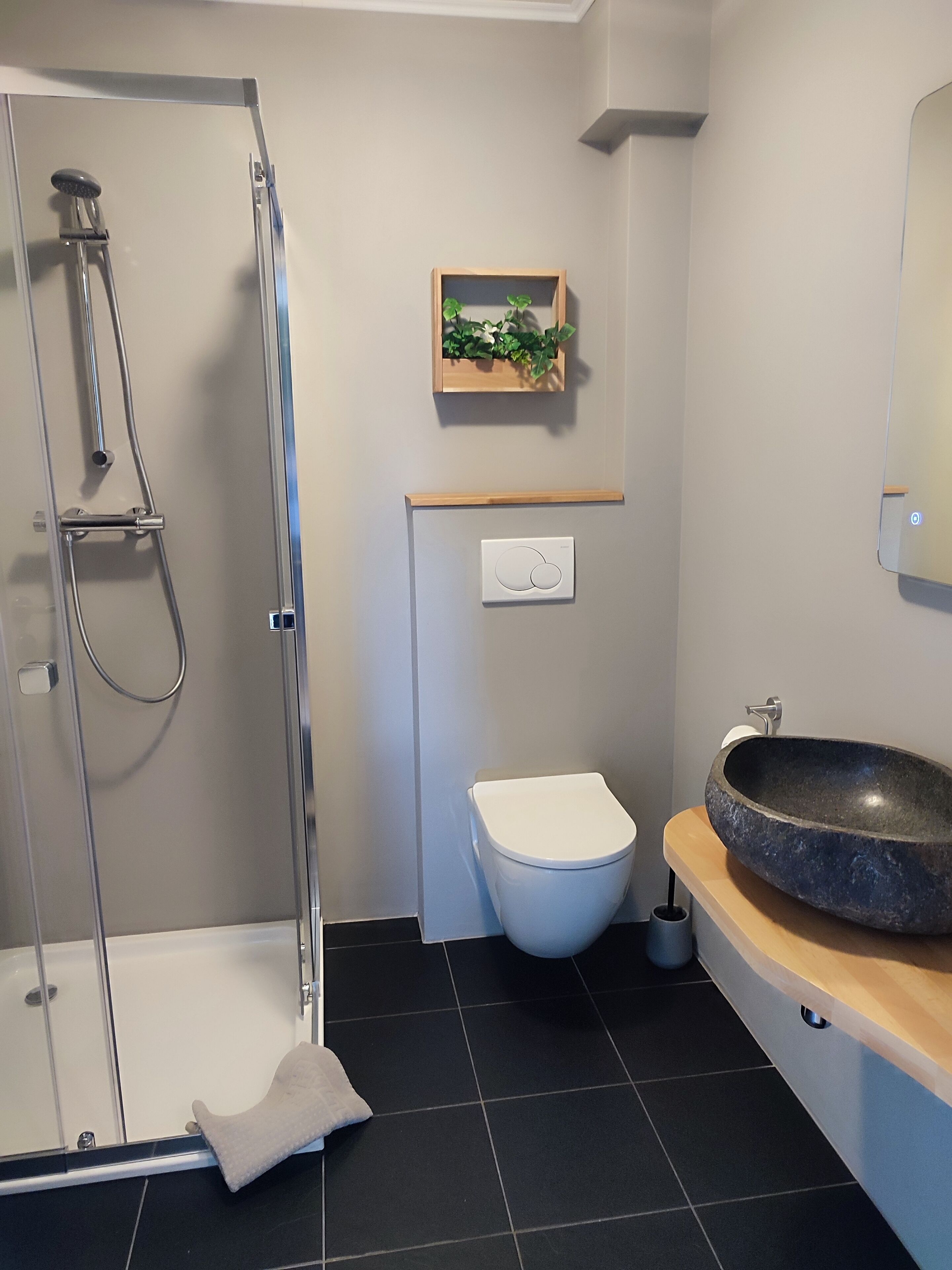 Een moderne badkamer met een glazen douchecabine, een wit toilet, een houten plankje met een plant en een grote wastafel.