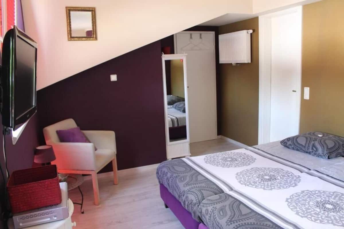 A bedroom with a bed, a chair, a TV, a wardrobe, and a mirror.
