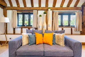 Smart TV, fireplace, DVD player, books