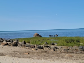 Beach nearby, sun loungers, beach towels