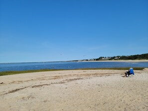 Guests can enjoy a serene beach setting with access to the ocean.