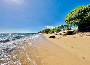 在海滩