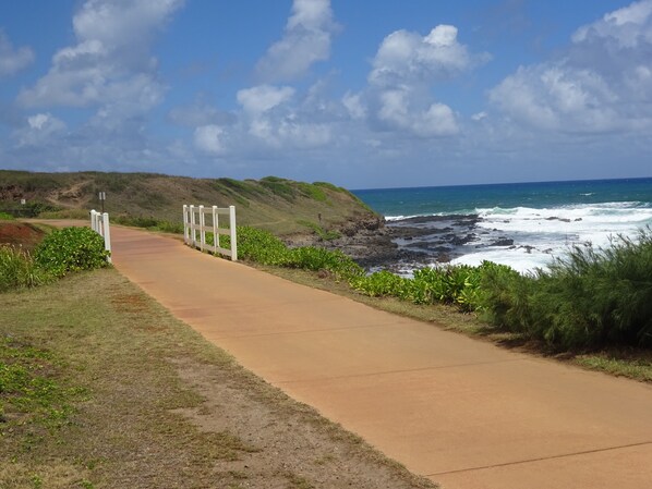 A coastal pathway leading to the ocean with a white fence and greenery on the sides. - Exquisite Oceanfront Home, 4 Bedrooms, 2 Baths, Central A/C, Sleeps 8 (Kapaʻa)